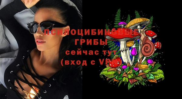 гашик Ладушкин