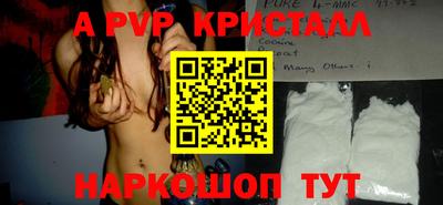 скорость Кингисепп
