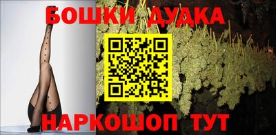 скорость Кингисепп