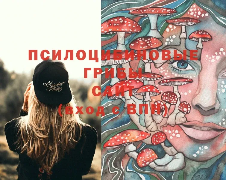 Псилоцибиновые грибы Magic Shrooms  Морозовск 