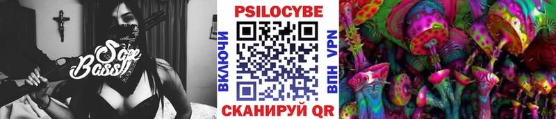 Галлюциногенные грибы Psilocybe  закладки  Морозовск 