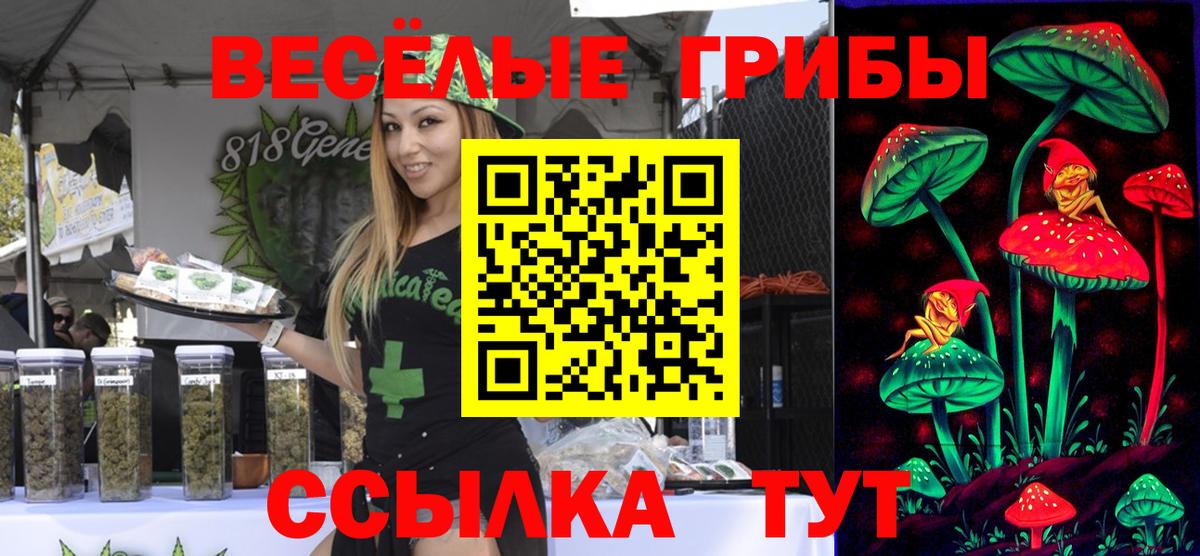 Псилоцибиновые грибы Magic Shrooms Морозовск