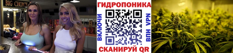 сколько стоит  Морозовск  Конопля SATIVA & INDICA 